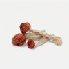 Amazonian Magic Mushrooms - Bloom Supply