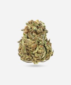 Banana OG – Indica - Bloom Supply