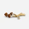 Big Mex Magic Mushrooms - Bloom Supply