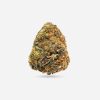 Black Tuna – Hybrid - Bloom Supply