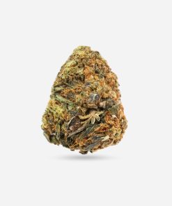 Black Tuna – Hybrid - Bloom Supply