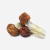Blue Pulaski Magic Mushrooms - Bloom Supply
