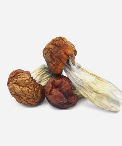 Blue Pulaski Magic Mushrooms - Bloom Supply
