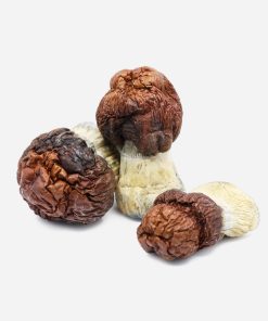 Bluey Vuitton Magic Mushrooms - Bloom Supply