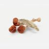Cambodian Magic Mushrooms - Bloom Supply