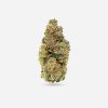 Captain Crunch – Indica - Bloom Supply