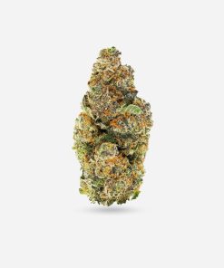 Captain Crunch – Indica - Bloom Supply