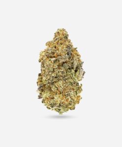 Cherry Pie – Indica - Bloom Supply