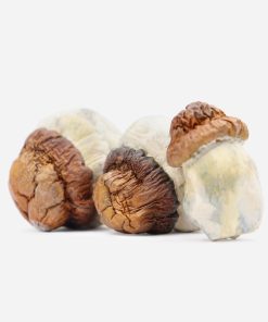Code Blue Magic Mushrooms - Bloom Supply
