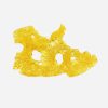 Cookies & Cream Shatter - Bloom Supply