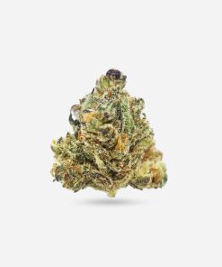 Cotton Candy Kush – Hybrid - Bloom Supply