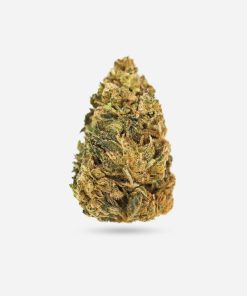 Deadhead OG – Hybrid - Bloom Supply