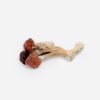 Florida White Magic Mushrooms - Bloom Supply