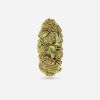 Goji OG – Sativa - Bloom Supply