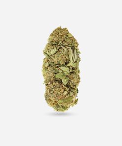 Goji OG – Sativa - Bloom Supply