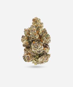 Grape Cream Cake – Indica - Bloom Supply