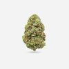 Jack Herer – Sativa - Bloom Supply