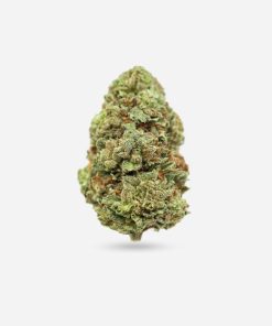 Jack Herer – Sativa - Bloom Supply