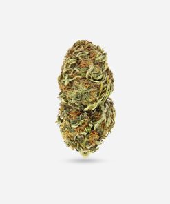 Jungle Kush – Indica - Bloom Supply