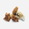 King Kong Magic Mushrooms - Bloom Supply