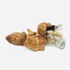 Koh Samui Magic Mushrooms - Bloom Supply