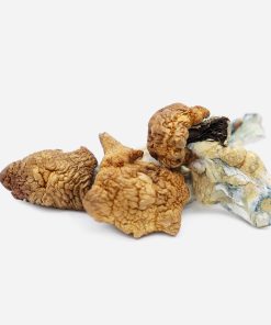 Koh Samui Magic Mushrooms - Bloom Supply