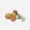 Makilla Gorilla Magic Mushrooms - Bloom Supply