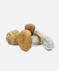 Makilla Gorilla Magic Mushrooms - Bloom Supply