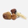 Mazatapec Magic Mushrooms - Bloom Supply