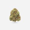Pennywise – Hybrid - Bloom Supply