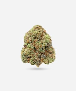 Pennywise – Hybrid - Bloom Supply