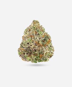 Purple Punch – Indica - Bloom Supply