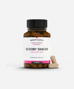 Scooby Snacks Microdose Mushroom Capsules - Bloom Supply