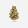 Shoreline – Indica - Bloom Supply
