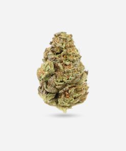 Shoreline – Indica - Bloom Supply