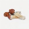 Tidal Wave Magic Mushrooms - Bloom Supply