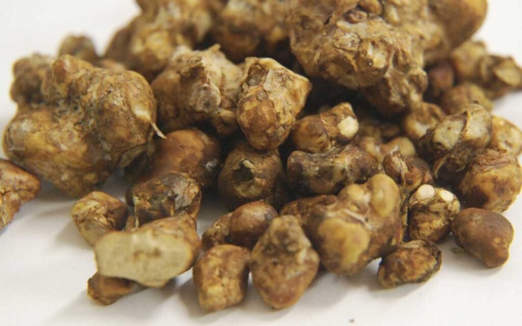 A Beginner’s Guide to Microdosing Magic Truffles